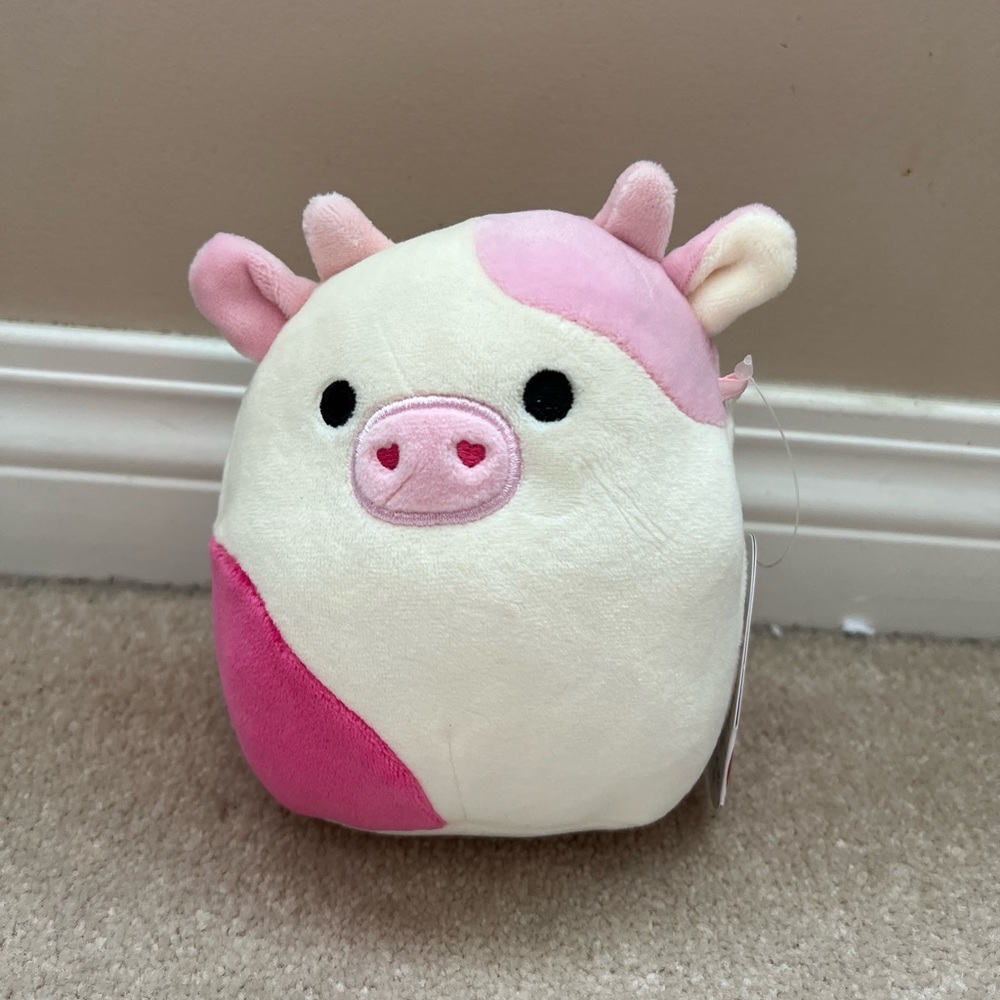 Caedyn Squishmallow 5inch